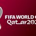 2022 FIFA World Cup