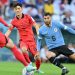 World Cup Group H : Drab stalemate from Uruguay and South Korea in Al Rayyan