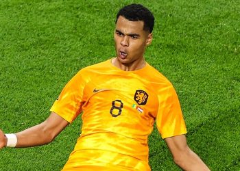 2022 FIFA World Cup Day 2 : Holland defeat Senegal with late goals from Cody Gakpo and Davy Klaassen