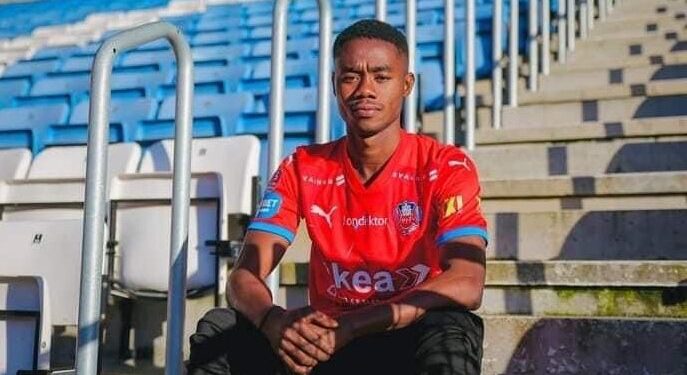 Kotoko Player in Prison in Sweden