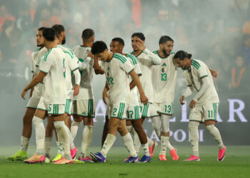 Algeria national football team, Algeria World Cup team, Desert Foxes, Algeria World Cup fixtures